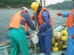 大槌湾環境調査201105