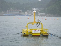 海象観測筏（水温プロファイル計）